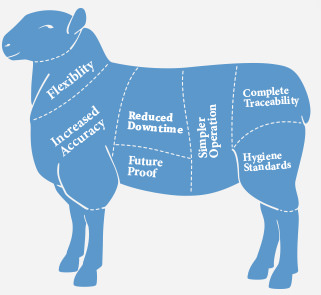 Meat Medical Coding 6 Factors to Consider when Choosing a Coding Solution for the Mea